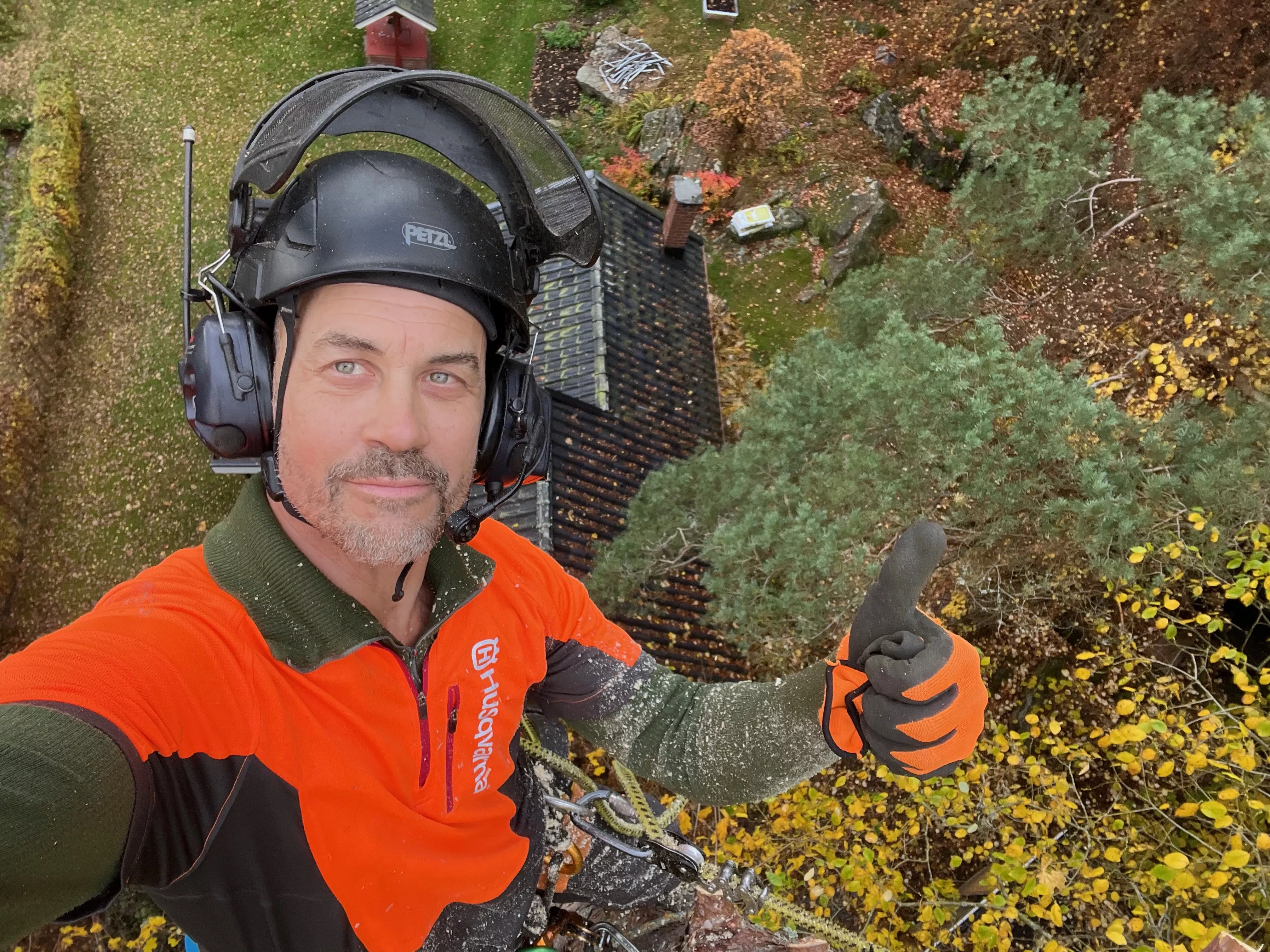 Arborism och sektionsfällning – UTSIDAN klättrar och tar ner träd bit för bit